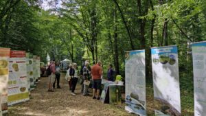 Fête de la biodiversité 2024 @ebb
