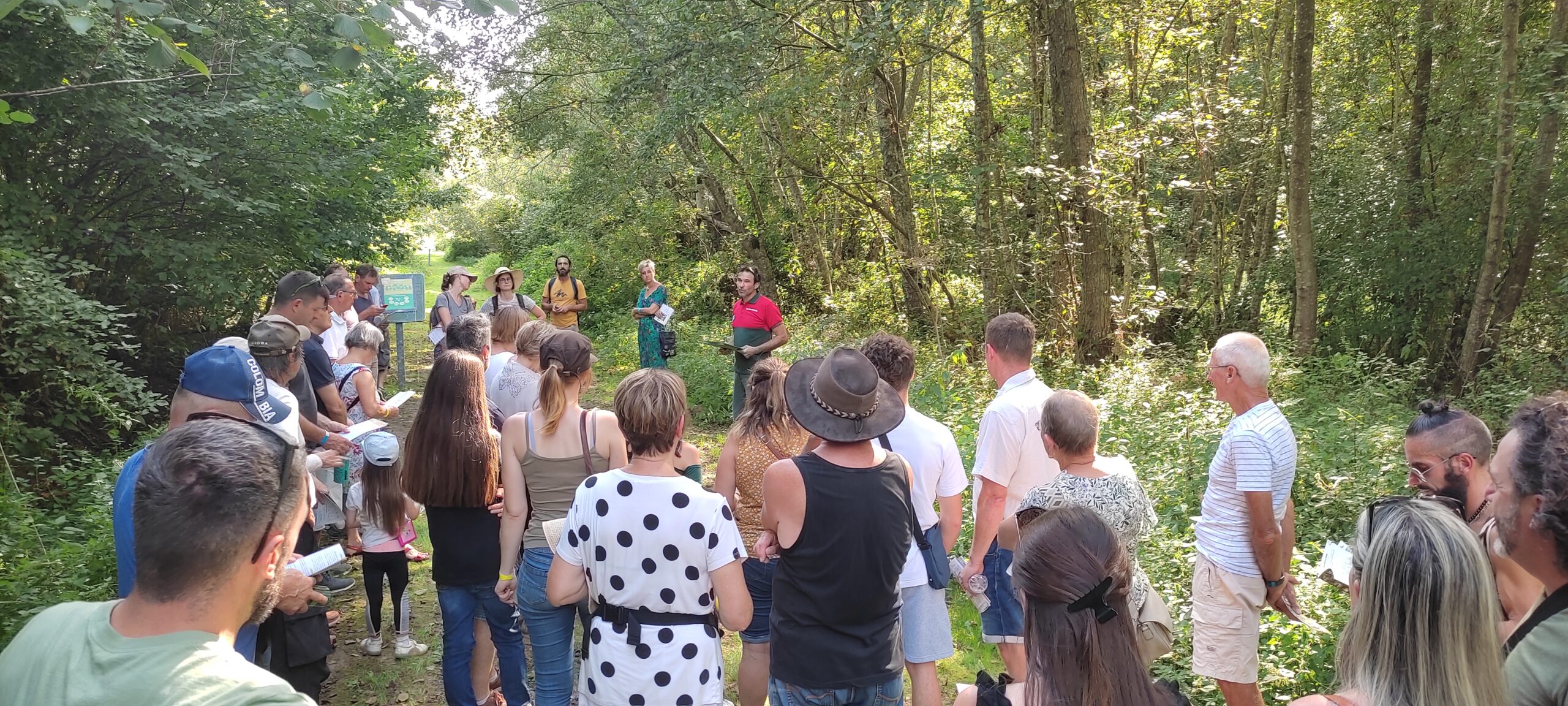 fête du bois